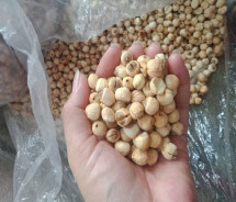 HẠT SEN KHÔ LOẠI ĐẶC BIỆT